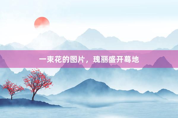 一束花的图片,瑰丽盛开蓦地
