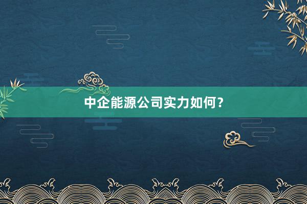 中企能源公司实力如何？